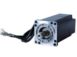 60mm AC Servo Motor